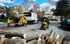 Best Storm Damage Tree Cleanup  in Ardmore, OK