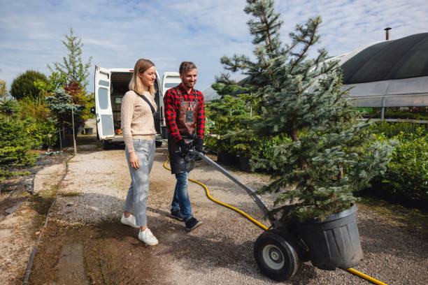 Best Aeration Services  in Ardmore, OK