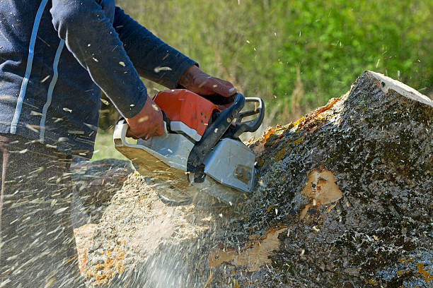 Lawn Grading and Leveling in Ardmore, OK